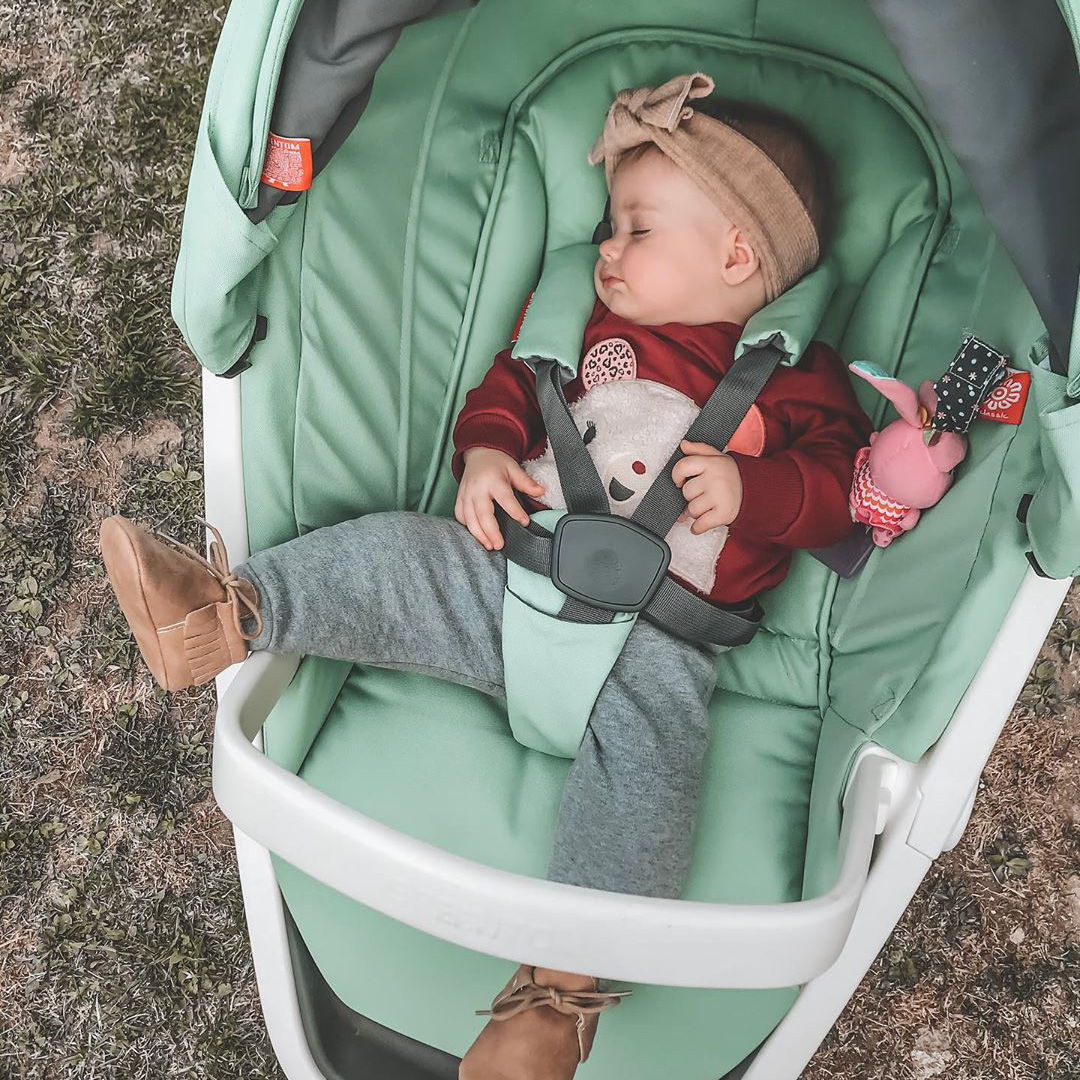 greentribe influencer review